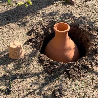 Olla Gartenbewässerung eingraben Olla Gartenbewässerung eingraben