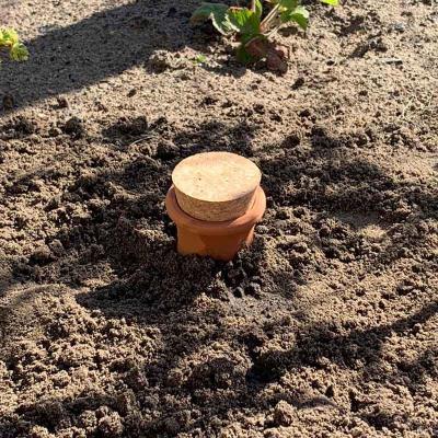 Olla Gartenbewässerung vergraben Olla Gartenbewässerung vergraben